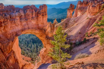Wall murals Coral Natural Arch in Bryce Canyon National Park