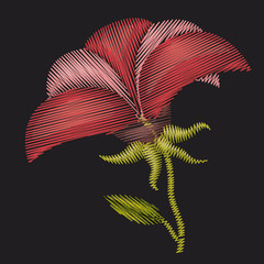 colorful poinsettia flower plant embroidery in black background
