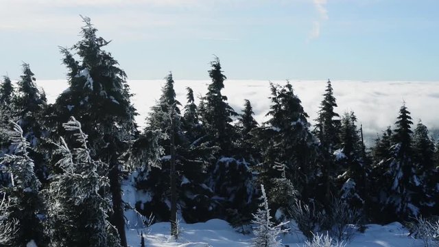 View from the Klinovec mountain 