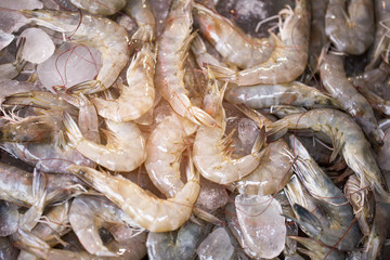 Bangkok Street Food: Small Prawn / Shrimp  for sell in street market.
