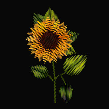 Colorful Sunflower Plant Embroidery In Black Background