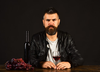 Degustator with calm face sits by wine bottle and grapes