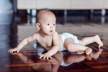 Cute adorable little Asian 8 months old baby boy child wearing diaper try to crawling on wood floor near the grey dog (Blur) in living room at home, photo in real life interior, Selective focus