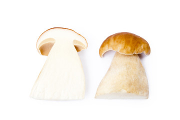 Fresh boletus mushrooms isolated on white background