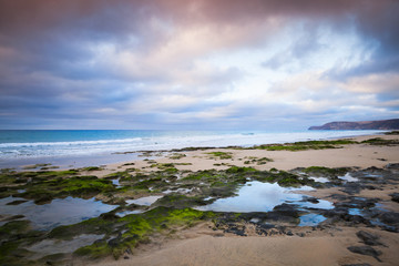 Fototapeta na wymiar Wet coastal stones with seaweed