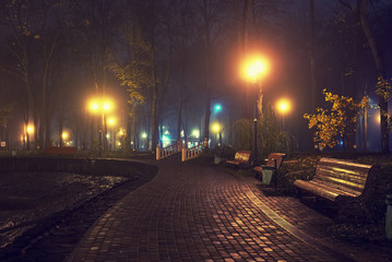 Autumn night landscape in the park after the rain.