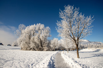 Spazierweg im Winter, Schnee und gefrorene Bäume