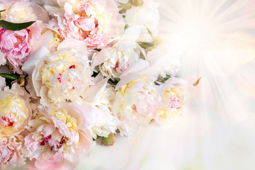 Image with peonies