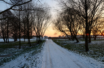 Landscape with trees on during winter sunset