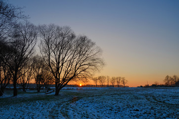 Landscape with trees on during winter sunset