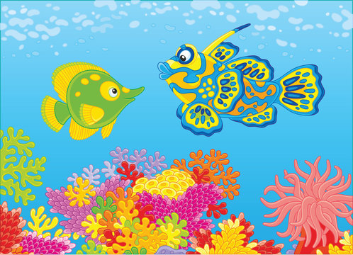 A funny butterflyfish and a mandarin fish swimming in blue water over a colorful coral reef in a tropical sea, a vector illustration in cartoon style