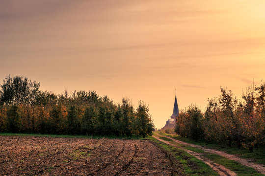 Dirt road between fruit orchards leading to church of small village in the fall. Kortenaken, Flanders, Belgium, Europe