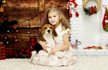 girl gently hugs the beagle puppy