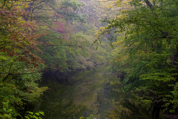 Beautiful autumn river scenery 