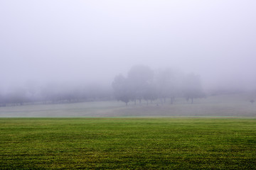 Obraz na płótnie Canvas Magical foggy morning in Gladstone, New Jersey 