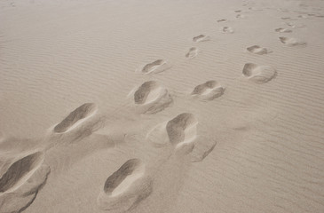 Footprints at the sand