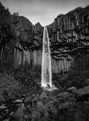 Svartifoss