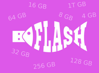 Fototapeta premium USB flash drive, abstract fish