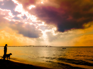 Woman, Dog and Clouds