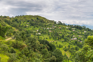 Fototapeta premium Green rice fields in Pokhara Valley, Nepal