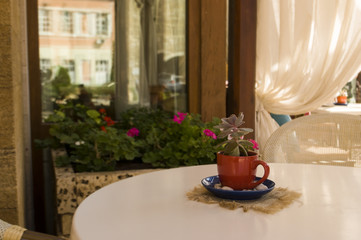 Summer terrace in sunny day. Downtown cafe coziness.