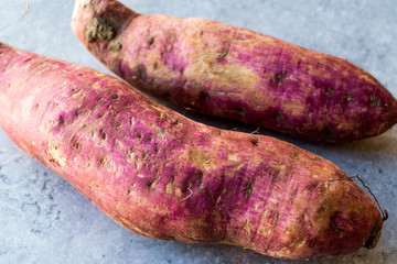 Raw Red Organic Sweet Potatoes on Blue Surface.