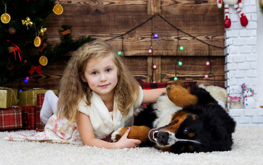 little girl and Bernese Mountain Dog