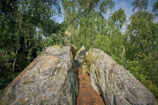 Wanderweg auf der Teufelsmauer zwischen Timmenrode und Blankenburg im Nationalpark Harz