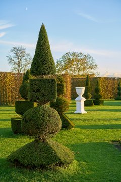 Buchsb&auml;ume in einem &ouml;ffentlichen barocken Landschaftspark bei Hundisburg in Deutschland