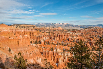 Fototapeta na wymiar Bryce Canyon Utah Winter Landscape