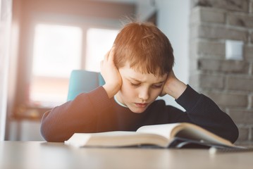 Child reading a book at the desk