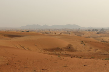Fototapeta na wymiar Wüste Dubai