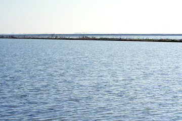 Landscape of marsh full of water at sunrise