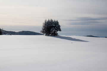 winter landscape black forest germany