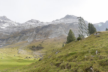 Beautiful view of valley mountain Saentis, Switzerland