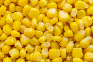 Yellow background of grains of canned corn. Pattern of corn kernels. Textured.