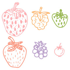 Cute hand drawn berry set. Sketch of strawberry, raspberries, foxberry, blackberry on isolated on white background. Vector illustration.