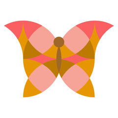 Cartoon butterfly isolated on white background. Vector illustration.