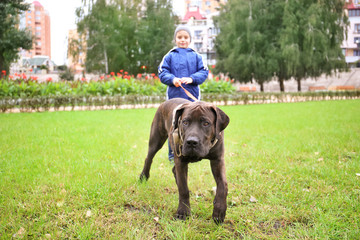 Cute little boy with his dog outdoors