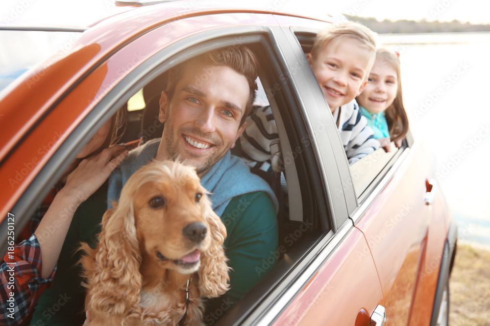 Sticker young father with cute children and dog in car