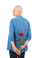 Attractive mature man with red rose on white background