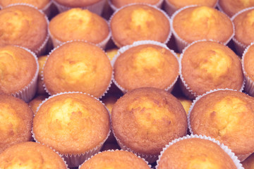 cupcakes after baking