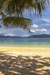 Tropical sandy beach with palm trees