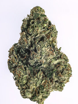 Cured Cannabis Macro Bud Shot