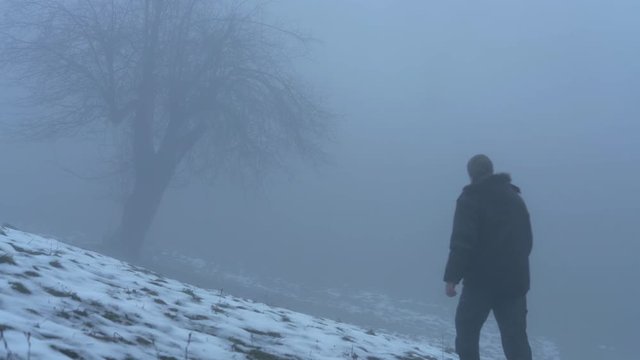 Man goes to winter tree into fog - (4K)