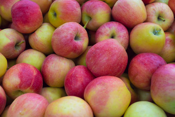 a lot of apples