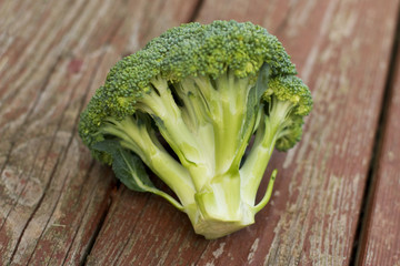 Large Green Bunch of Broccoli