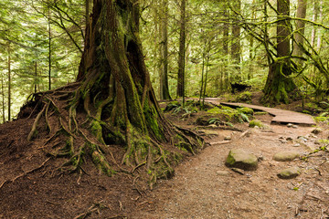 Lynn Park, Vancouver, British Columbia, Canada