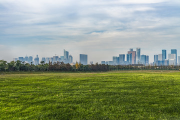 Fototapeta na wymiar cityscape and skyline of hangzhou from meadow in park