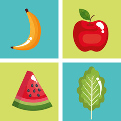 healthy food set icons
